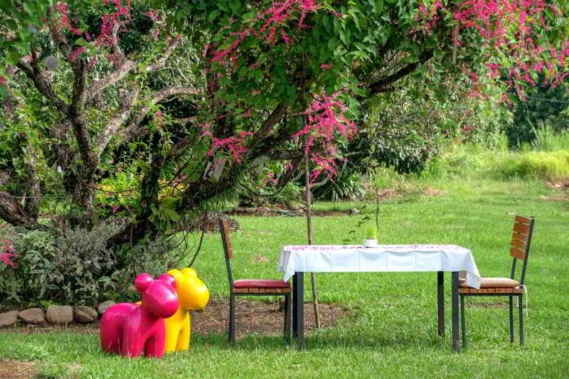Aurora Resort Chiangdao Chiang Dao Eksteriør billede