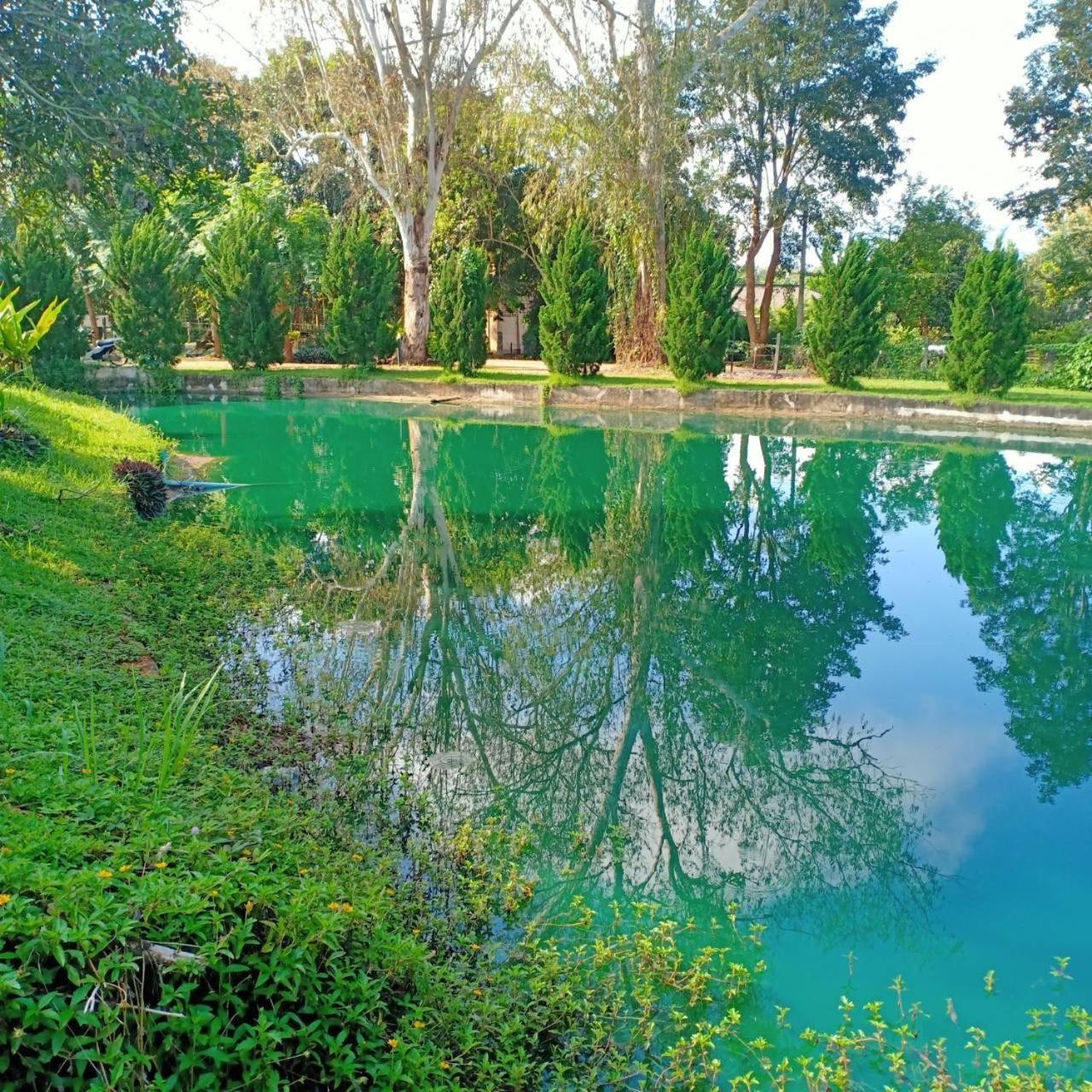 Aurora Resort Chiangdao Chiang Dao Eksteriør billede
